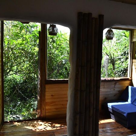 Habitacion Las Bromelias, Pijao, Finca Flora Del Rio Exteriér fotografie