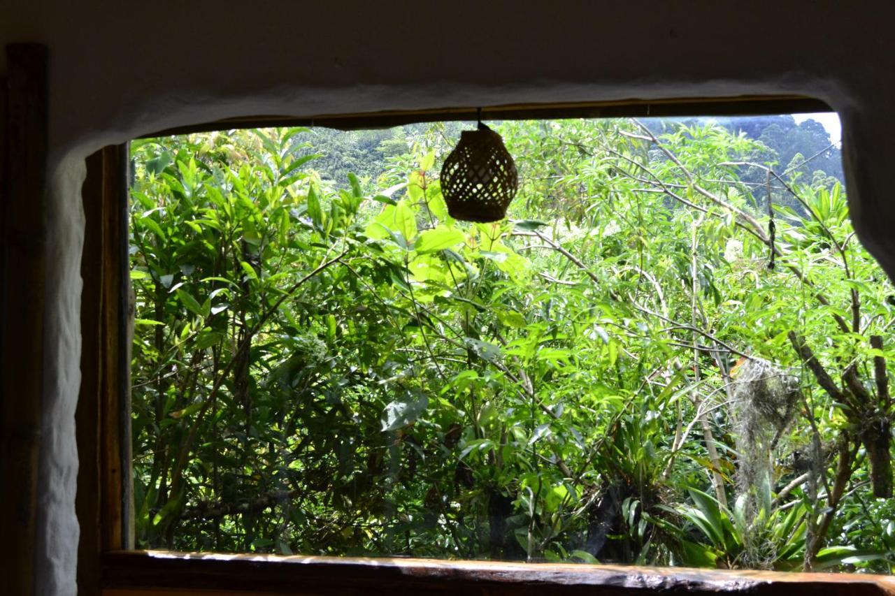Habitacion Las Bromelias, Pijao, Finca Flora Del Rio Exteriér fotografie